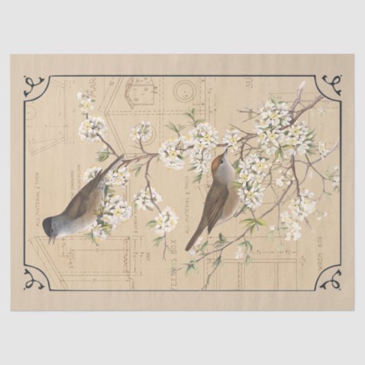Kraft Warbler Bird Birdhouse Border Decoupage Tan Tissuepapier (Voorkant)
