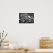 Kraken Attacking Ship  etching Poster (Keuken)