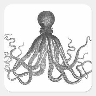 Kraken - Black Giant Octopus / Cthulu Vierkante Sticker