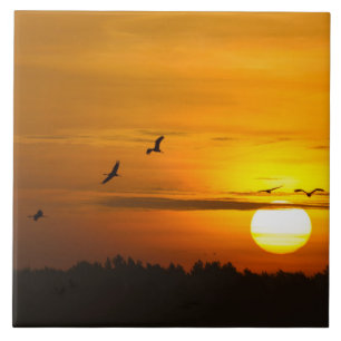 Kranen bij zonsopgang tegeltje