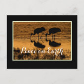 Kranen en vrede op aarde met grens briefkaart (Voorkant)