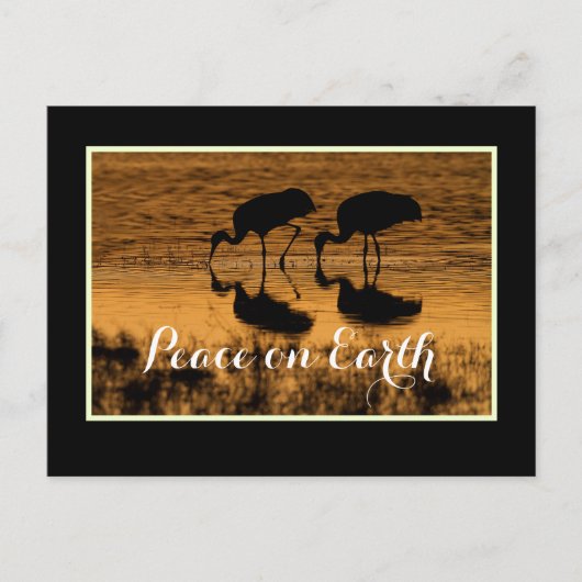Kranen en vrede op aarde met grens briefkaart (Voorkant)