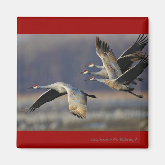 Kranen Magneet (Voorkant)