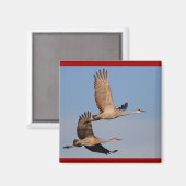 Kranen Magneet (Voorkant / Achterkant)