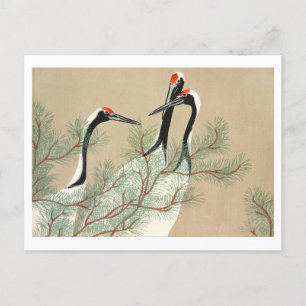 Kranen uit Momoyogusa Briefkaart