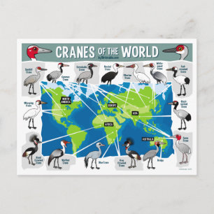 Kranen van de wereld briefkaart