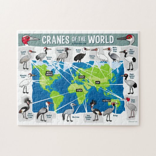 Kranen van de wereld legpuzzel (Horizontaal)
