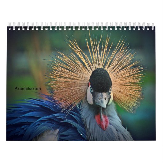 Kraniche Kalender (Hoes)