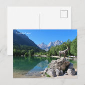 Kranjska Gora Slovenië Briefkaart (Voorkant / Achterkant)