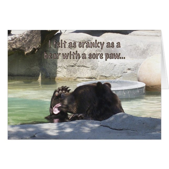 Kranky als beer met een zere poot (Voorkant Horizontaal)