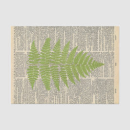  krant met groene leder-ontkoppeling tissuepapier