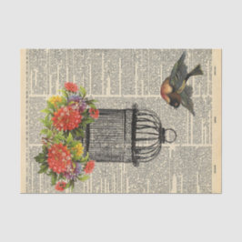  krant met kooivogel Ontvlechting Tissuepapier