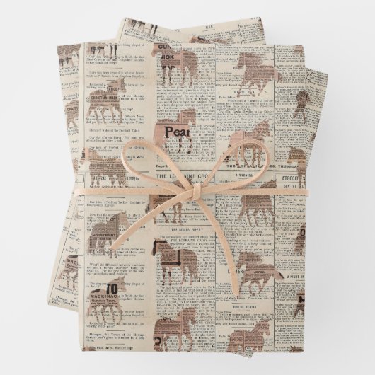  krant Paardencollage Inpakpapier Vel (In situ)