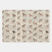  krant Paardencollage Inpakpapier Vel (Voorkant)