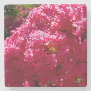 Krape Myrtle Boom Magenta Bloem Stenen Onderzetter