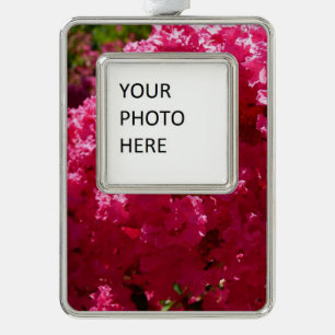 Krapeelboom Magenta Bloem Verzilverd Kader Ornament