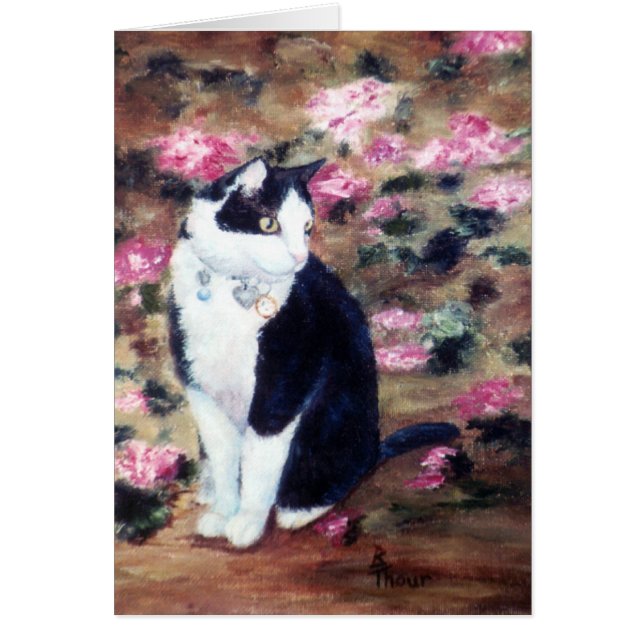 Krattenblanco Kat (Voorkant)