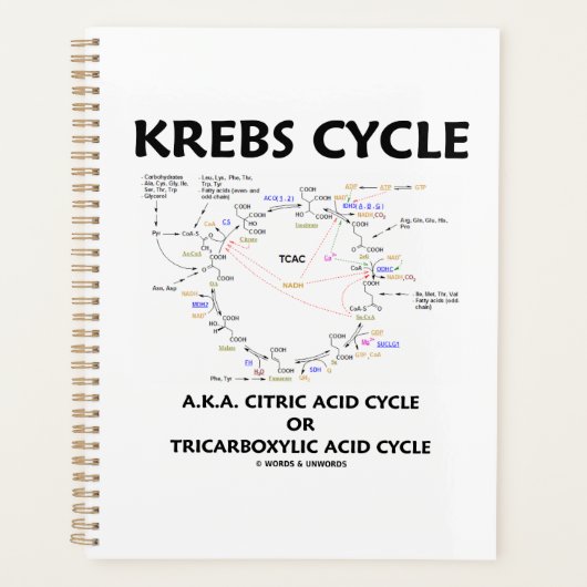 Krebs Cycle, ook bekend als Citroenzuurcyclus, tri Planner (Voorkant)