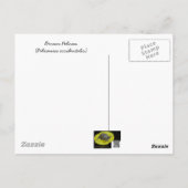 KREDIETEN VAN BUITENbanken OBX NC Briefkaart (Achterkant)