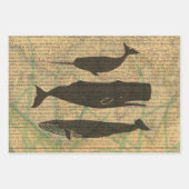 Kreeft Schelpdieren Zeevruchten Maine Classic Ocea Inpakpapier Vel (Voorkant 2)