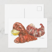 Kreeft Tail Art Briefkaart (Voorkant / Achterkant)