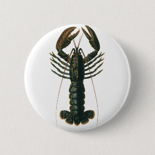  kreeft, zeezoogdier ronde button 5,7 cm