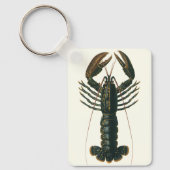kreeft, zeezoogdier sleutelhanger (Voorkant)