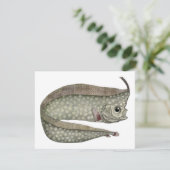  kreeften, zeewaterdieren (Staand voorkant)