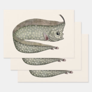  kreeften, zeewaterdieren inpakpapier vel