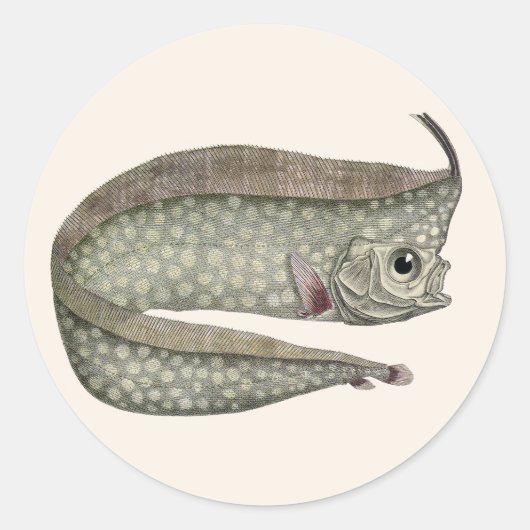  kreeften, zeewaterdieren ronde sticker (Voorkant)