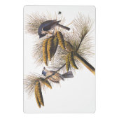 Kreeftenkoplampvogels in pekelboom mini klembord (Achterkant)