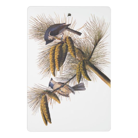 Kreeftenkoplampvogels in pekelboom mini klembord (Achterkant)