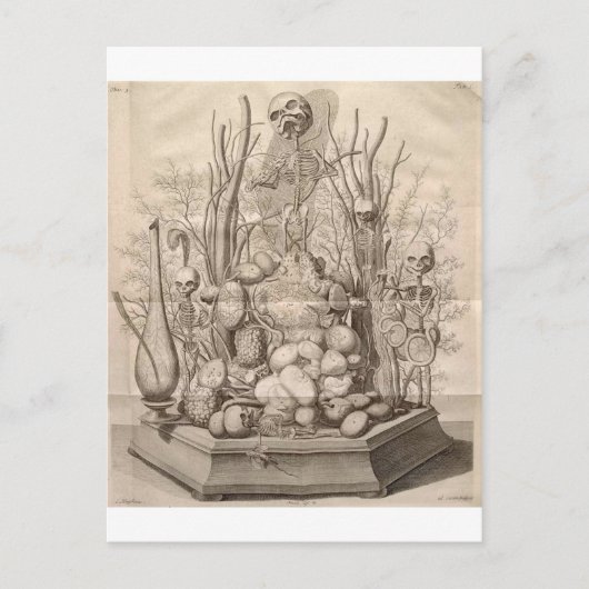 kreeftenskeletten, schedels en bomen briefkaart (Voorkant)