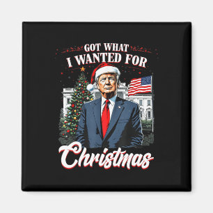 Kreeg wat ik wilde voor Kerstmis Trump 2024 4 Magneet