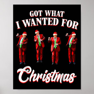 Kreeg wat ik wilde voor Kerstmis, Trump dans Sinte Poster