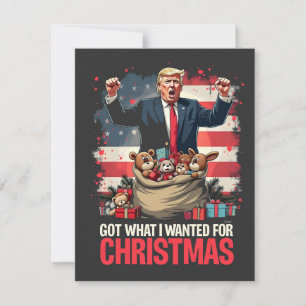 Kreeg wat ik wilde voor Kerstmis Trump Kerstman Kaart