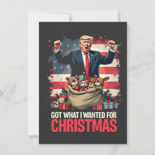 Kreeg wat ik wilde voor Kerstmis Trump Kerstman Kaart