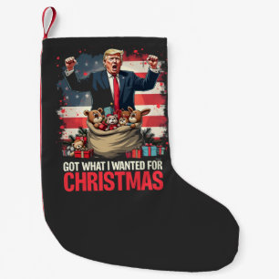 Kreeg wat ik wilde voor Kerstmis Trump Kerstman   Kleine Kerstsok