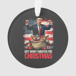 Kreeg wat ik wilde voor Kerstmis Trump Kerstman   Ornament