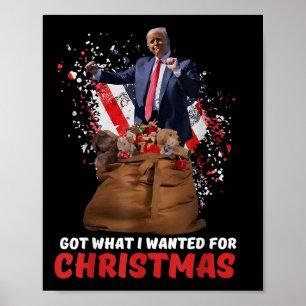 Kreeg wat ik wilde voor Kerstmis - Trump won 2024 Poster