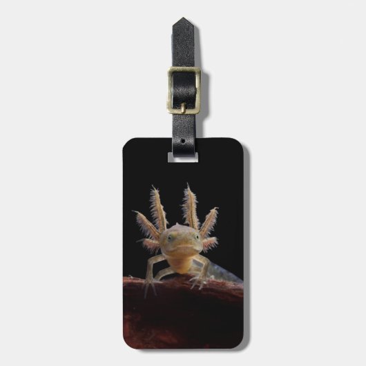 Kreet Bagagelabel (Voorkant verticaal)