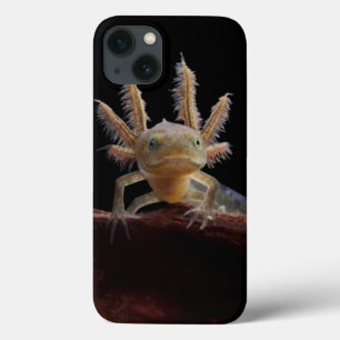 Kreet iPhone 13 Hoesje