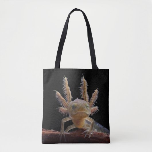 Kreet Draagtas (Voorkant)