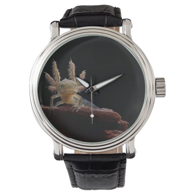 Kreet Horloge (Voorkant)