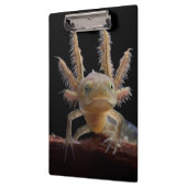 Kreet Klembord (Links)