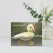 Kreet - Quack Quack! Briefkaart (Staand voorkant)