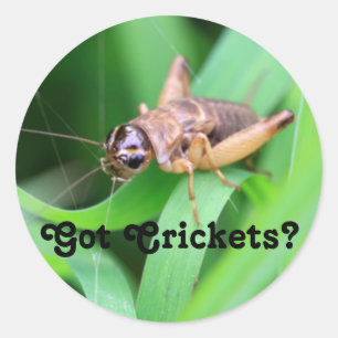 Krekels Ronde Sticker