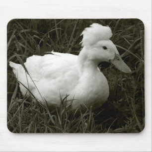 Krestie in zwart-wit muismat