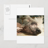 kreuken briefkaart (Voorkant / Achterkant)