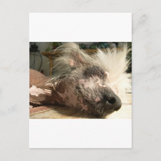 kreuken briefkaart (Voorkant)